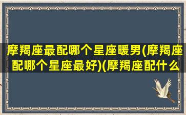 摩羯座最配哪个星座暖男(摩羯座配哪个星座最好)(摩羯座配什么男)