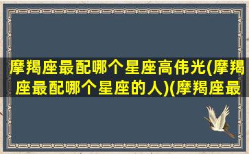 摩羯座最配哪个星座高伟光(摩羯座最配哪个星座的人)(摩羯座最般配的星座是谁)