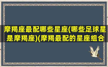 摩羯座最配哪些星座(哪些足球星是摩羯座)(摩羯最配的星座组合)