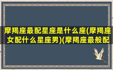 摩羯座最配星座是什么座(摩羯座女配什么星座男)(摩羯座最般配的星座)