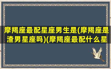 摩羯座最配星座男生是(摩羯座是渣男星座吗)(摩羯座最配什么星座的男生)