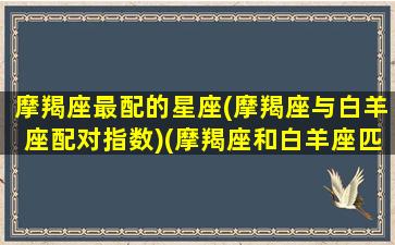 摩羯座最配的星座(摩羯座与白羊座配对指数)(摩羯座和白羊座匹配度)