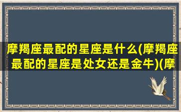 摩羯座最配的星座是什么(摩羯座最配的星座是处女还是金牛)(摩羯座最般配的是什么星座)