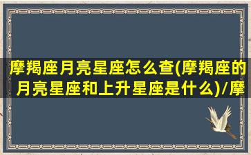 摩羯座月亮星座怎么查(摩羯座的月亮星座和上升星座是什么)/摩羯座月亮星座怎么查(摩羯座的月亮星座和上升星座是什么)-我的网站