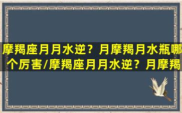 摩羯座月月水逆？月摩羯月水瓶哪个厉害/摩羯座月月水逆？月摩羯月水瓶哪个厉害-我的网站