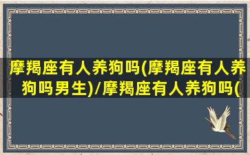 摩羯座有人养狗吗(摩羯座有人养狗吗男生)/摩羯座有人养狗吗(摩羯座有人养狗吗男生)-我的网站