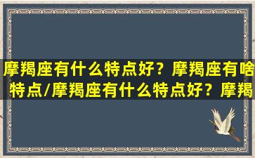 摩羯座有什么特点好？摩羯座有啥特点/摩羯座有什么特点好？摩羯座有啥特点-我的网站