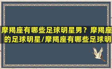 摩羯座有哪些足球明星男？摩羯座的足球明星/摩羯座有哪些足球明星男？摩羯座的足球明星-我的网站