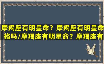 摩羯座有明星命？摩羯座有明星命格吗/摩羯座有明星命？摩羯座有明星命格吗-我的网站