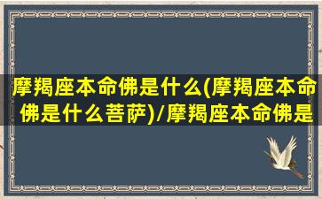 摩羯座本命佛是什么(摩羯座本命佛是什么菩萨)/摩羯座本命佛是什么(摩羯座本命佛是什么菩萨)-我的网站