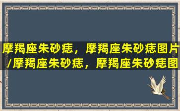 摩羯座朱砂痣，摩羯座朱砂痣图片/摩羯座朱砂痣，摩羯座朱砂痣图片-我的网站