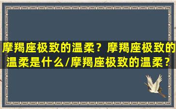 摩羯座极致的温柔？摩羯座极致的温柔是什么/摩羯座极致的温柔？摩羯座极致的温柔是什么-我的网站