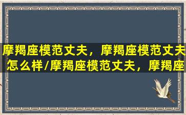 摩羯座模范丈夫，摩羯座模范丈夫怎么样/摩羯座模范丈夫，摩羯座模范丈夫怎么样-我的网站