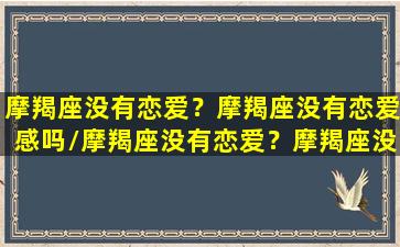 摩羯座没有恋爱？摩羯座没有恋爱感吗/摩羯座没有恋爱？摩羯座没有恋爱感吗-我的网站