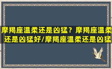 摩羯座温柔还是凶猛？摩羯座温柔还是凶猛好/摩羯座温柔还是凶猛？摩羯座温柔还是凶猛好-我的网站