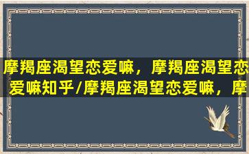 摩羯座渴望恋爱嘛，摩羯座渴望恋爱嘛知乎/摩羯座渴望恋爱嘛，摩羯座渴望恋爱嘛知乎-我的网站