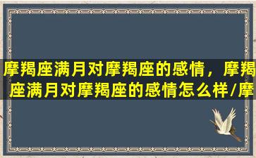 摩羯座满月对摩羯座的感情，摩羯座满月对摩羯座的感情怎么样/摩羯座满月对摩羯座的感情，摩羯座满月对摩羯座的感情怎么样-我的网站