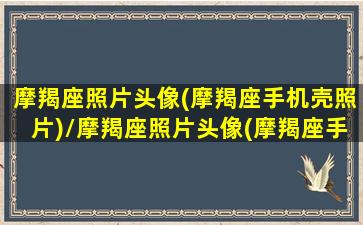 摩羯座照片头像(摩羯座手机壳照片)/摩羯座照片头像(摩羯座手机壳照片)-我的网站