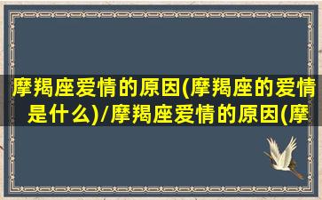 摩羯座爱情的原因(摩羯座的爱情是什么)/摩羯座爱情的原因(摩羯座的爱情是什么)-我的网站