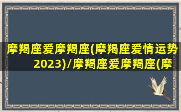 摩羯座爱摩羯座(摩羯座爱情运势2023)/摩羯座爱摩羯座(摩羯座爱情运势2023)-我的网站