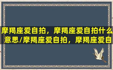 摩羯座爱自拍，摩羯座爱自拍什么意思/摩羯座爱自拍，摩羯座爱自拍什么意思-我的网站