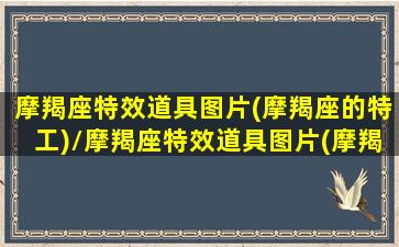 摩羯座特效道具图片(摩羯座的特工)/摩羯座特效道具图片(摩羯座的特工)-我的网站