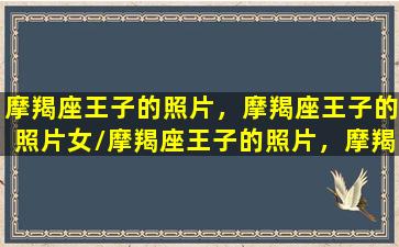 摩羯座王子的照片，摩羯座王子的照片女/摩羯座王子的照片，摩羯座王子的照片女-我的网站