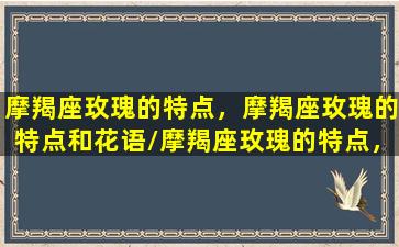 摩羯座玫瑰的特点，摩羯座玫瑰的特点和花语/摩羯座玫瑰的特点，摩羯座玫瑰的特点和花语-我的网站