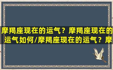 摩羯座现在的运气？摩羯座现在的运气如何/摩羯座现在的运气？摩羯座现在的运气如何-我的网站