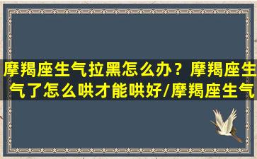 摩羯座生气拉黑怎么办？摩羯座生气了怎么哄才能哄好/摩羯座生气拉黑怎么办？摩羯座生气了怎么哄才能哄好-我的网站