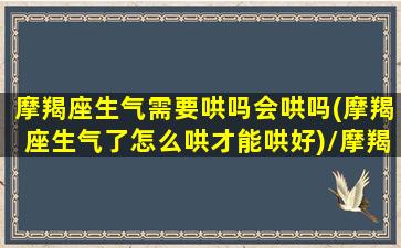 摩羯座生气需要哄吗会哄吗(摩羯座生气了怎么哄才能哄好)/摩羯座生气需要哄吗会哄吗(摩羯座生气了怎么哄才能哄好)-我的网站