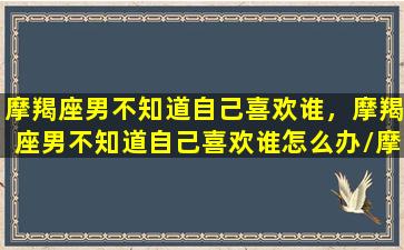 摩羯座男不知道自己喜欢谁，摩羯座男不知道自己喜欢谁怎么办/摩羯座男不知道自己喜欢谁，摩羯座男不知道自己喜欢谁怎么办-我的网站