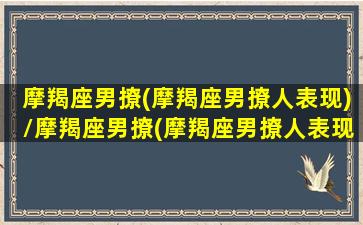 摩羯座男撩(摩羯座男撩人表现)/摩羯座男撩(摩羯座男撩人表现)-我的网站