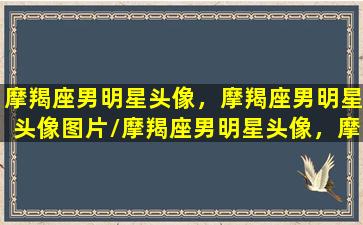 摩羯座男明星头像，摩羯座男明星头像图片/摩羯座男明星头像，摩羯座男明星头像图片-我的网站