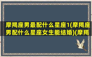 摩羯座男最配什么星座1(摩羯座男配什么星座女生能结婚)(摩羯男配什么星座女最般配)