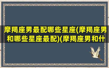 摩羯座男最配哪些星座(摩羯座男和哪些星座最配)(摩羯座男和什么星座很配)