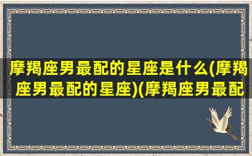 摩羯座男最配的星座是什么(摩羯座男最配的星座)(摩羯座男最配哪个星座)