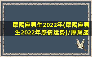 摩羯座男生2022年(摩羯座男生2022年感情运势)/摩羯座男生2022年(摩羯座男生2022年感情运势)-我的网站