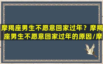 摩羯座男生不愿意回家过年？摩羯座男生不愿意回家过年的原因/摩羯座男生不愿意回家过年？摩羯座男生不愿意回家过年的原因-我的网站