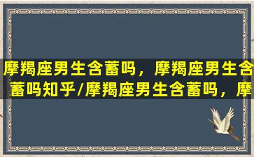 摩羯座男生含蓄吗，摩羯座男生含蓄吗知乎/摩羯座男生含蓄吗，摩羯座男生含蓄吗知乎-我的网站