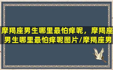 摩羯座男生哪里最怕痒呢，摩羯座男生哪里最怕痒呢图片/摩羯座男生哪里最怕痒呢，摩羯座男生哪里最怕痒呢图片-我的网站