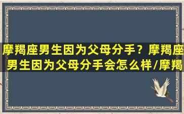 摩羯座男生因为父母分手？摩羯座男生因为父母分手会怎么样/摩羯座男生因为父母分手？摩羯座男生因为父母分手会怎么样-我的网站