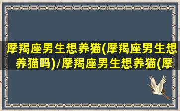 摩羯座男生想养猫(摩羯座男生想养猫吗)/摩羯座男生想养猫(摩羯座男生想养猫吗)-我的网站