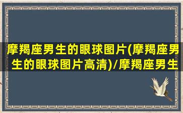 摩羯座男生的眼球图片(摩羯座男生的眼球图片高清)/摩羯座男生的眼球图片(摩羯座男生的眼球图片高清)-我的网站