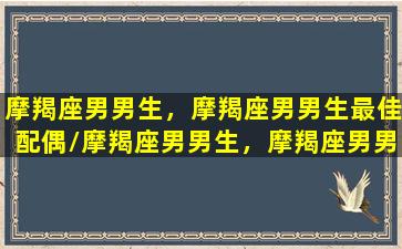 摩羯座男男生，摩羯座男男生最佳配偶/摩羯座男男生，摩羯座男男生最佳配偶-我的网站