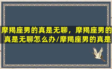 摩羯座男的真是无聊，摩羯座男的真是无聊怎么办/摩羯座男的真是无聊，摩羯座男的真是无聊怎么办-我的网站