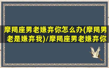 摩羯座男老嫌弃你怎么办(摩羯男老是嫌弃我)/摩羯座男老嫌弃你怎么办(摩羯男老是嫌弃我)-我的网站