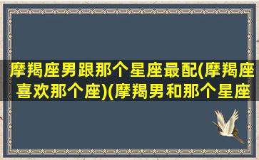 摩羯座男跟那个星座最配(摩羯座喜欢那个座)(摩羯男和那个星座配)