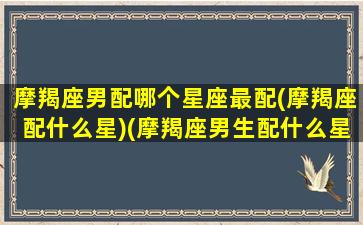 摩羯座男配哪个星座最配(摩羯座配什么星)(摩羯座男生配什么星座对照表)