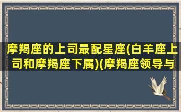 摩羯座的上司最配星座(白羊座上司和摩羯座下属)(摩羯座领导与白羊下属)